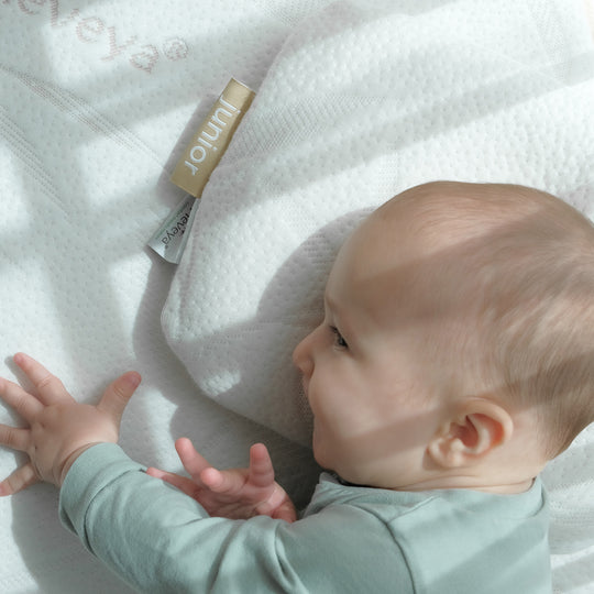 Heveya® BB 乳膠護頭枕