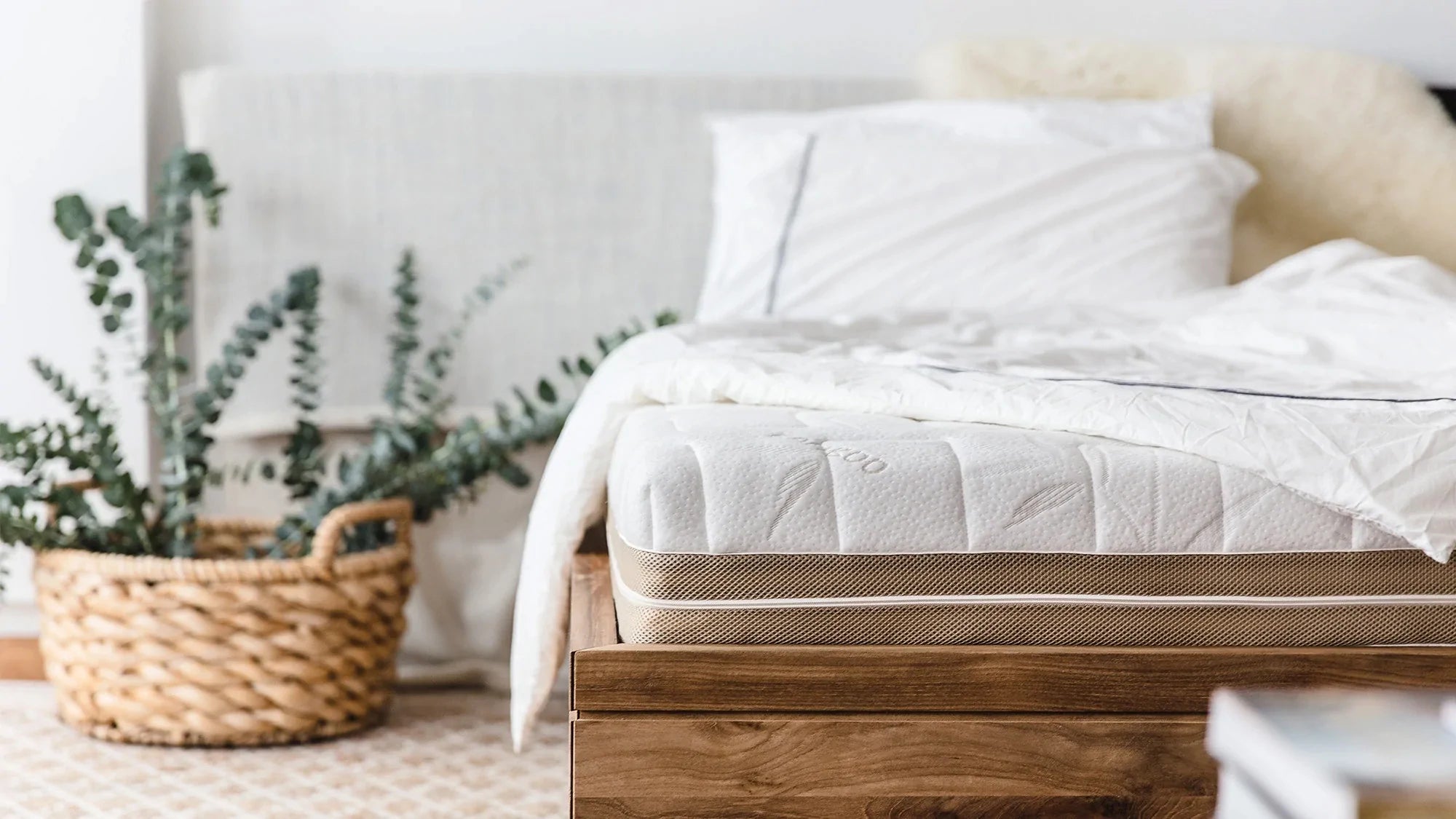 如何讓您的新乳膠床墊保持最佳狀態