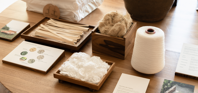 從森林到織物：竹材纖維之旅